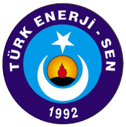 Mehmet Nihat MANAS